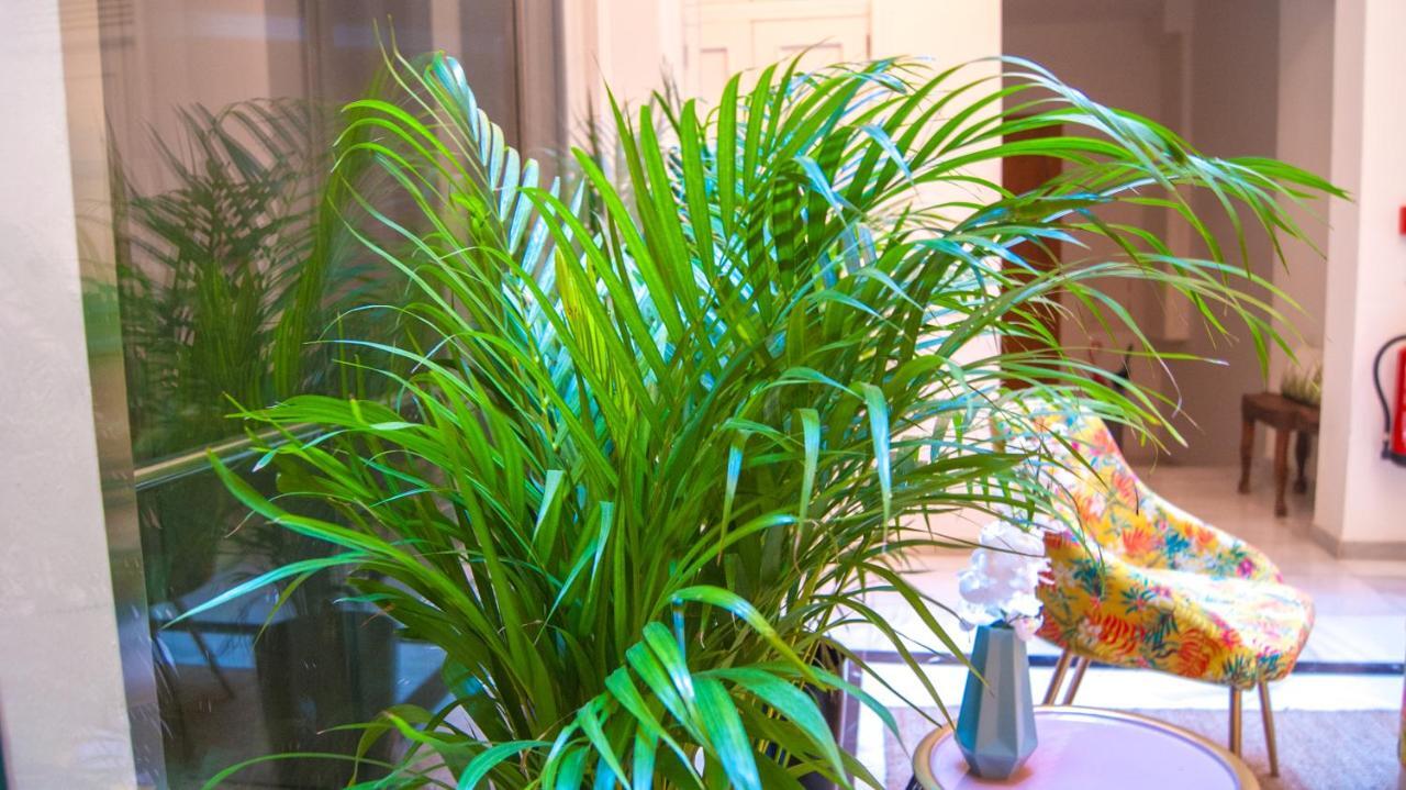 Sweet Sevilla Suites Dış mekan fotoğraf
