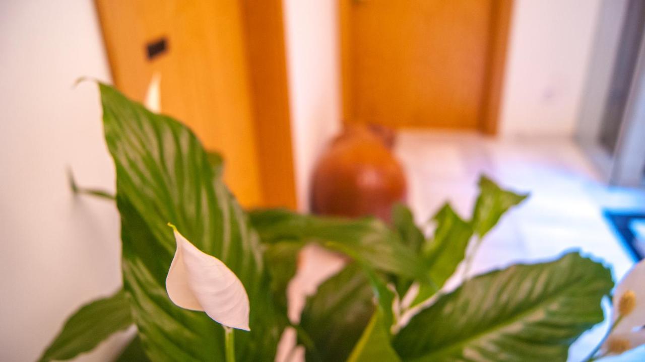 Sweet Sevilla Suites Dış mekan fotoğraf